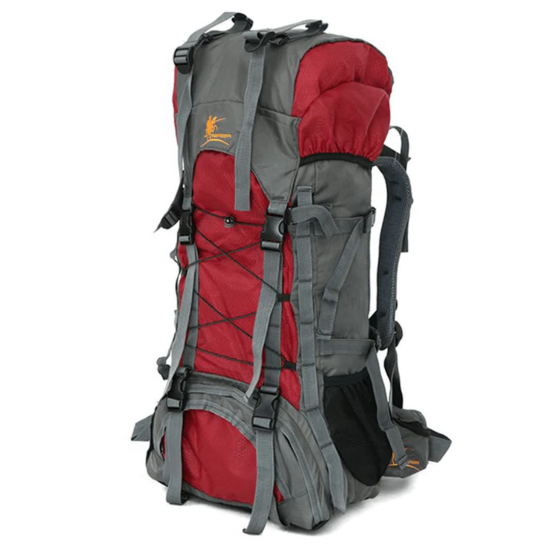 60L Backpack - Trekking - Wandelrugzak - Reistas
