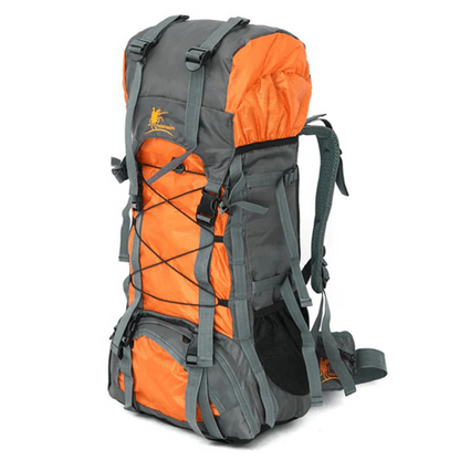 60L Backpack - Trekking - Wandelrugzak - Reistas